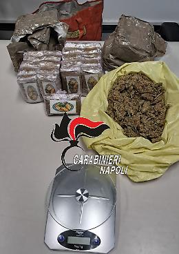 Oltre 2 chili di droga tra casa e giardino, arrestato