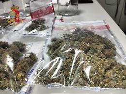Marijuana in casa, arrestato 74enne