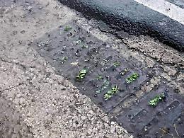 Caditoie otturate, Maggio: rischio allagamento