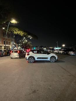 Giovane ucciso, sopralluogo di Europa Verde a Mergellina