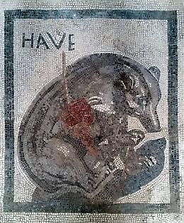 Scavi di Pompei, su Fb graffiti tradotti in napoletano
