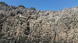 Punta Campanella, il ritorno del gabbiano corso sull'Isola dei De Filippo 