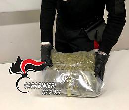 Preso con con 860 grammi di marijuana nello zaino