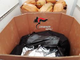 Oltre 39 chili di droga sotto zucche provenienti dalla Spagna, arrestati padre e figlio