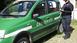 Gestione illecita di rifiuti, sequestri e denunce