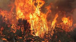 Accende il fuoco in campagna ma le fiamme la divorano, muore carbonizzata