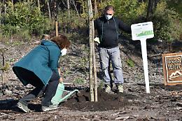 Al via la forestazione, 1.300 nuove piante nel Parco del Vesuvio