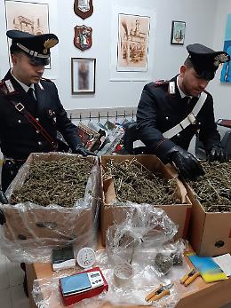 Palma Campania, padre e figlio arrestati per droga