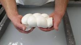 Mozzarella, consorzio in Olanda per un confronto con gli 007