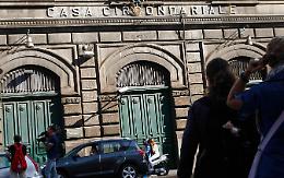 Cani-poliziotto scoprono droga e cellulari in carcere