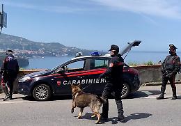 Sorrento, cani scoprono droga a scuola: segnalati 3 studenti