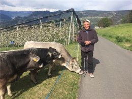 Partito animalista, Bassolino “sfida" Berlusconi