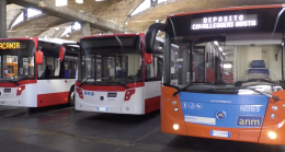 Anm, arrivano 31 nuovi autobus