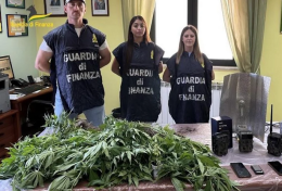 Scoperta piantagione di cannabis: due persone in arresto
