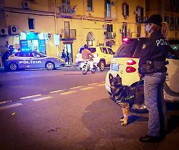 Quartiere Avvocata, controlli straordinari della polizia