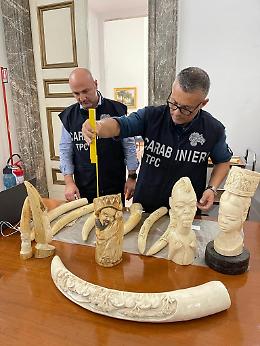 Reperti antichi rubati in casa, ai domiciliari il sovrintendente