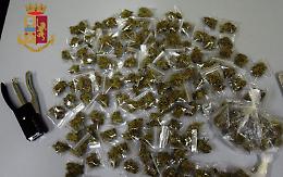 Marijuana in casa, un arresto ad Acerra