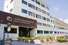 Staminali, studio Cnr Napoli per mimare sviluppo embrione 