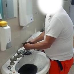 Puliva le seppie in ospedale, medico licenziato