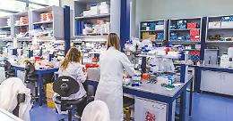 Cecità, ricerca del Tigem di Pozzuoli supera ostacoli per la terapia genica