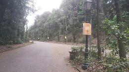 Fase 2, troppe infrazioni: richiude il Bosco di Capodimonte