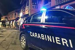 Tenta suicidio con una pistola per uccidere gli animali