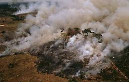 L'Amazzonia brucia, a rischio il 20% dell'ossigeno del Pianeta