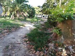 «Clochard nudo si lava nella Villa comunale di Napoli»