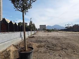Napoli, piantati i primi alberi nel Parco della Marinella