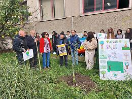 Giornata Nazionale degli Alberi: L’Altritalia Ambiente pianta ulivi a Pompei e Scafati