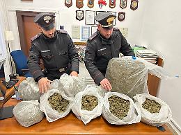Controlli dopo l'omicidio, sequestrati 33 chili di marijuana