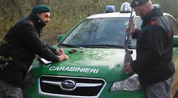 Volpi, cinghiali e volatili chiusi in gabbia, 5 denunciati