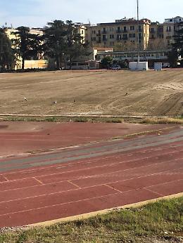 «Stadio Collana, avviati i lavori: campo ripulito dalle erbacce»