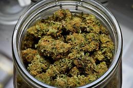 Sequestrata oltre una tonnellata di marijuana, arrestato un uomo