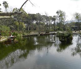 Riapre lo zoo di Napoli, restyling e nuovi arrivi