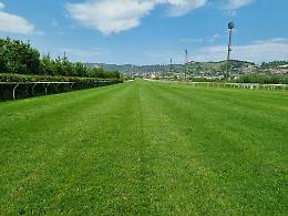 Ippodromo di Agnano, galoppo dal 23 maggio. D’Angelo: pista in perfette condizioni