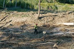 Alluvione nelle Marche, ritrovato il corpo del bimbo disperso