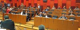 La bella vita dei consiglieri comunali, ecco tutti i privilegi