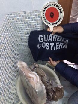 Portici, blitz nel porto: sequestri e una denuncia