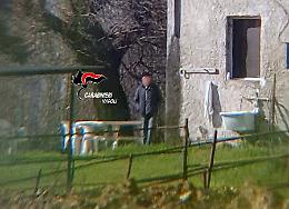 Latitante da 6 anni, stanato il boss Antonio Polverino