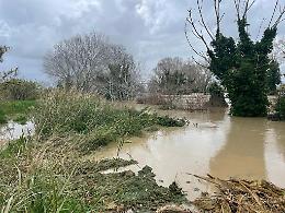 Maltempo, Cia: «Gravissimi danni alle aziende del Salernitano»