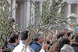 Domenica delle Palme: niente palme e benedizione dell'acqua 