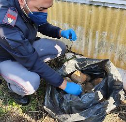 Pompei: trovati blocchi di hashish per 23 chili in un terreno incolto