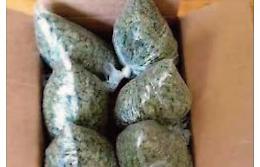 Ordina marijuana dalla Spagna Finisce in trappola: preso 25enne