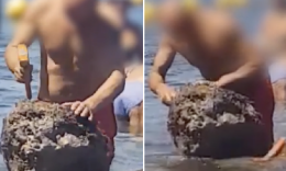 Con martello in spiaggia per estrarre datteri dagli scogli: video sui social