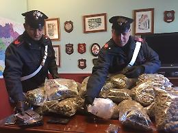 Buste e pani di droga nel divano: coniugi arrestati