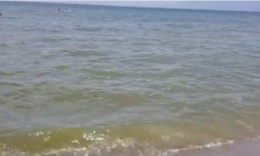 Schiuma in mare a Baia Domizia, Arpac: parametri nei limiti