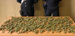 Oltre un chilo di marijuana in un container: 27enne incastrato da cane antidroga