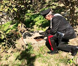 Reati ambientali, 2 denunce a Liveri e Roccarainola