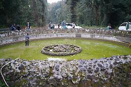 Real Bosco di Capodimonte, via alla pulizia della vasca delle tartarughe